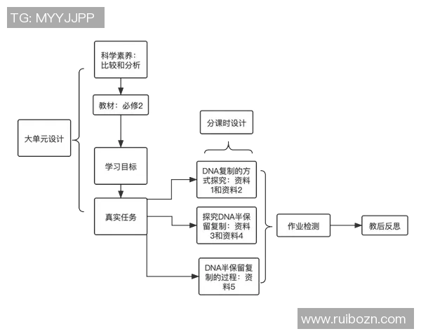 瑞典与比利时比赛数据深度分析与战术对比探讨