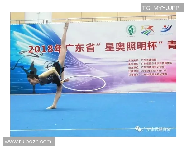 竞技体操比赛规则解读与新修订条款解析分析 竞技体操比赛规则解读与新修订条款解析分析