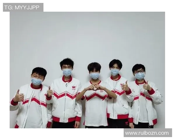 王者荣耀战术解析：WE战队区域防守体系的深度剖析与应用