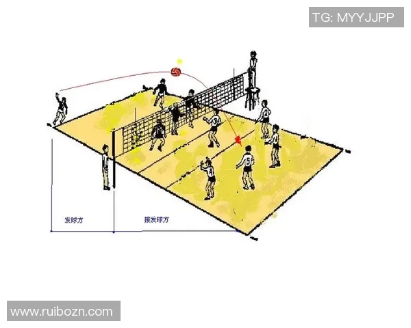 深圳排球队进攻策略分析与战术解读助力球队崛起