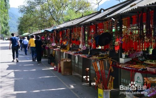 开云在线合适小公园小买卖(图1)